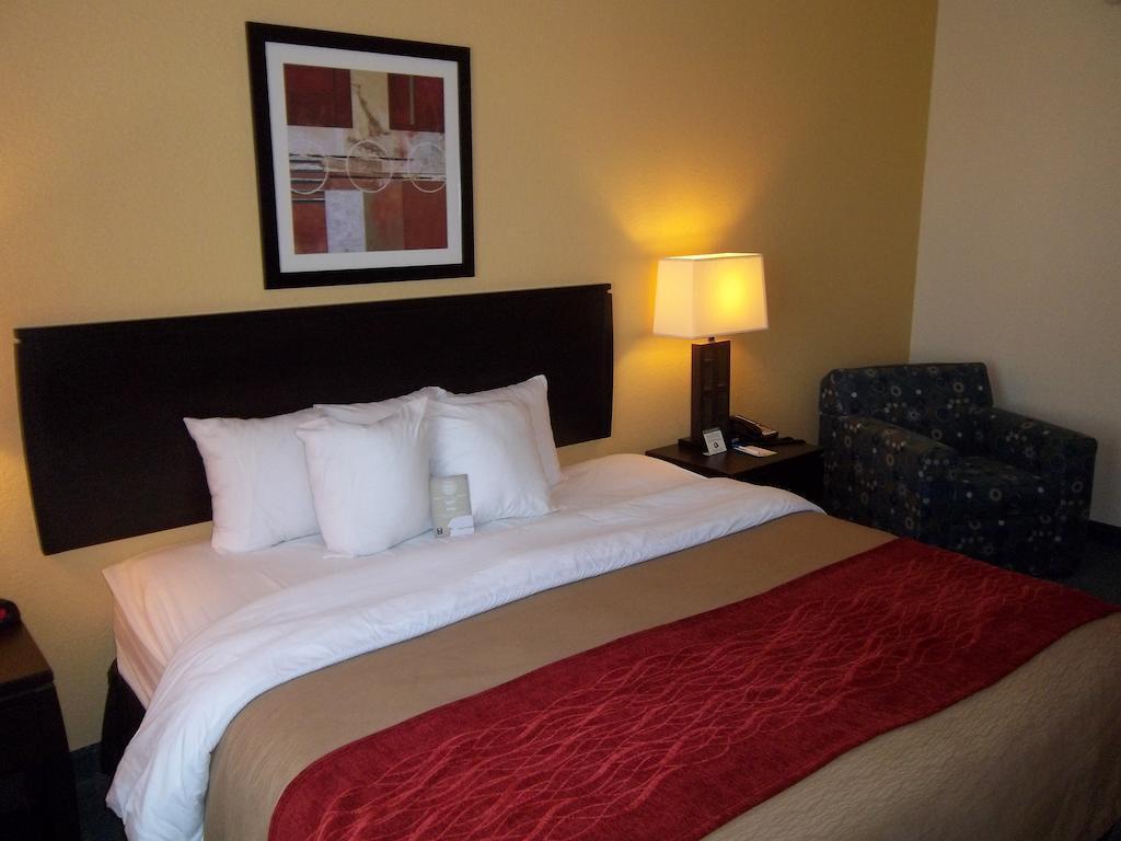 Comfort Inn & Suites Northeast - Gateway St. Petersburg Luaran gambar