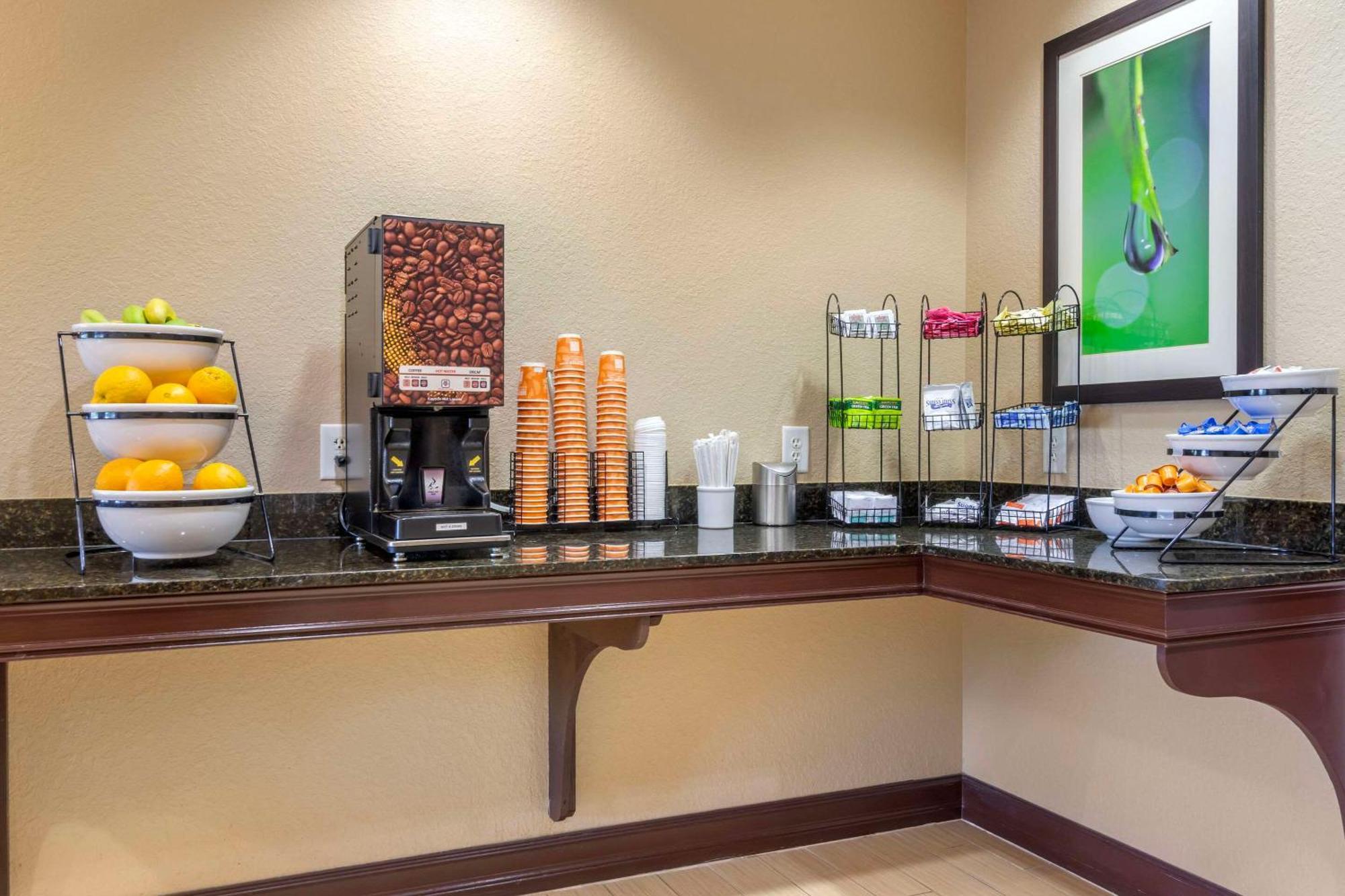 Comfort Inn & Suites Northeast - Gateway St. Petersburg Luaran gambar