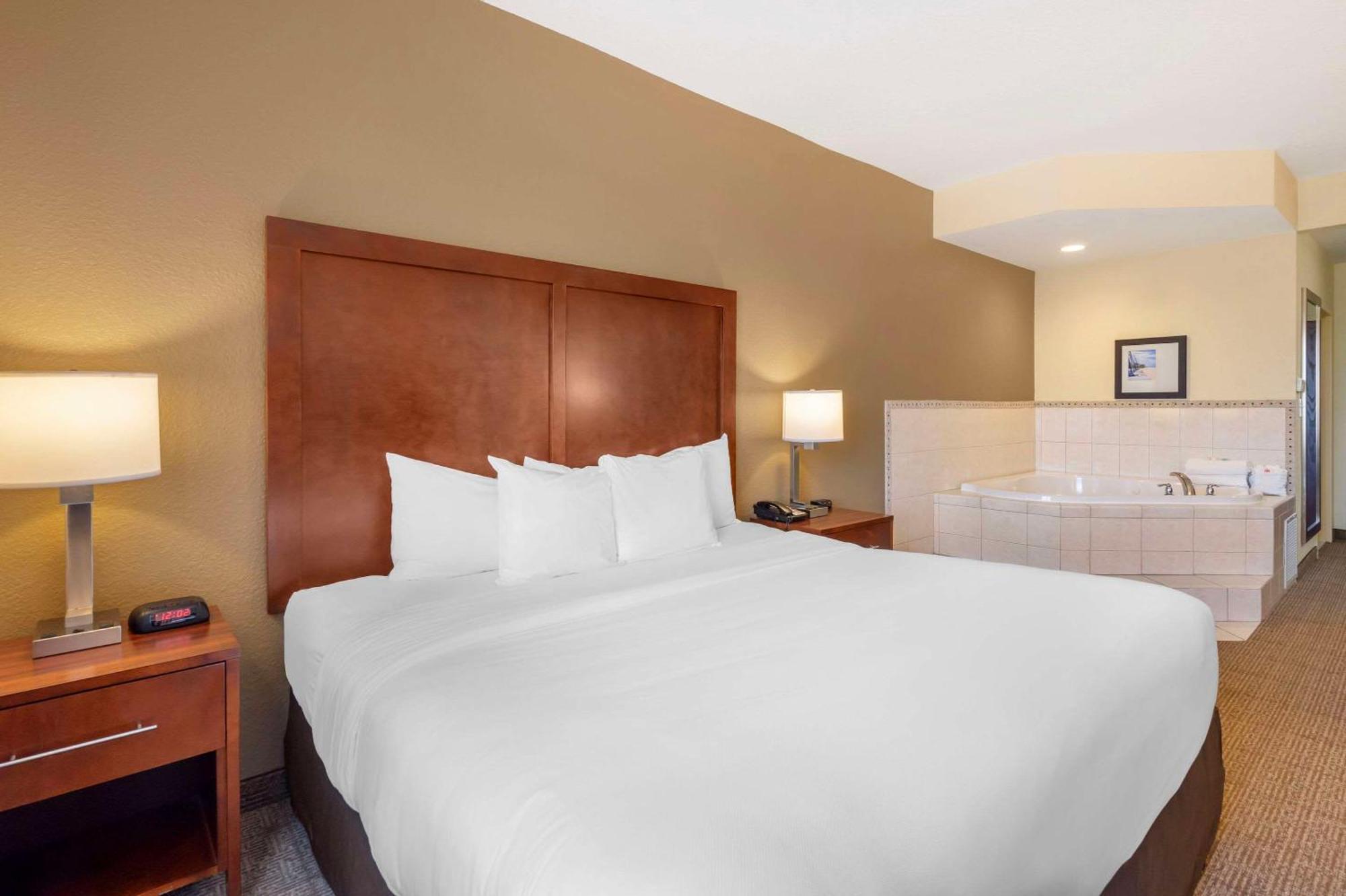 Comfort Inn & Suites Northeast - Gateway St. Petersburg Luaran gambar