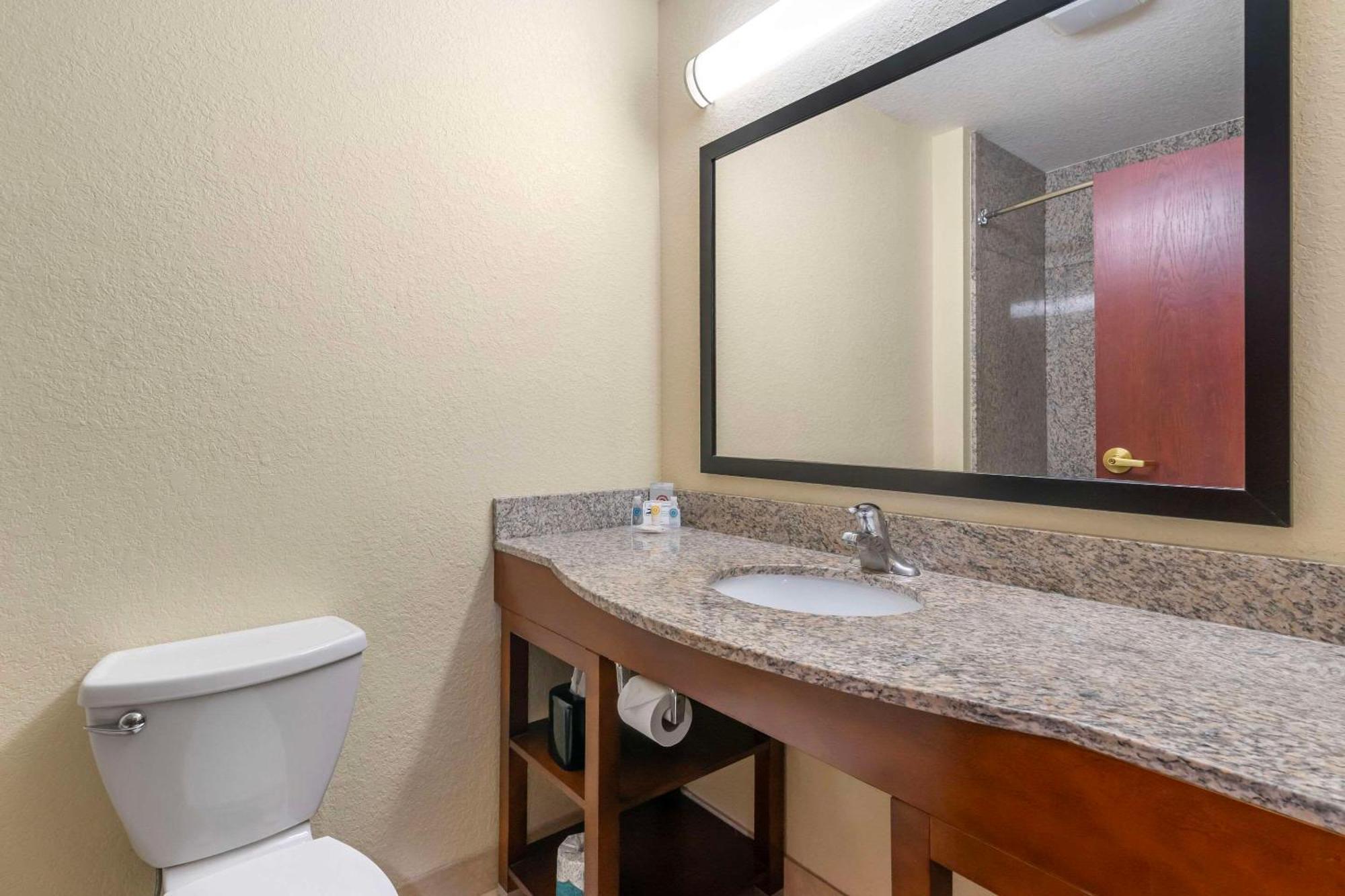 Comfort Inn & Suites Northeast - Gateway St. Petersburg Luaran gambar