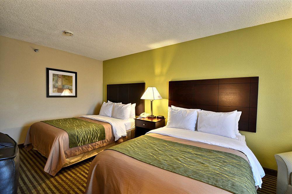 Comfort Inn & Suites Northeast - Gateway St. Petersburg Luaran gambar